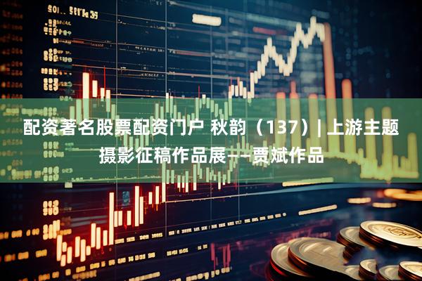 配资著名股票配资门户 秋韵（137）| 上游主题摄影征稿作品展——贾斌作品