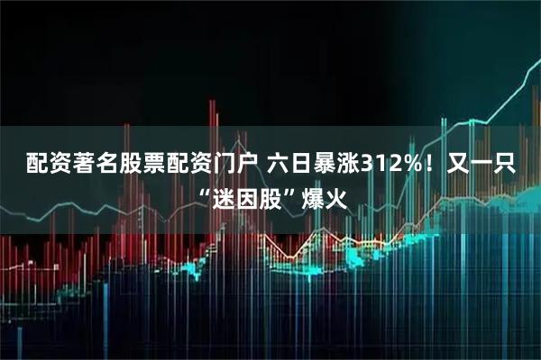 配资著名股票配资门户 六日暴涨312%！又一只“迷因股”爆火