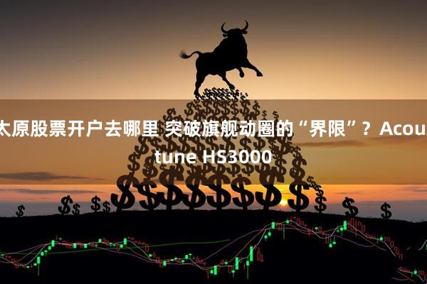 太原股票开户去哪里 突破旗舰动圈的“界限”？Acoustune HS3000